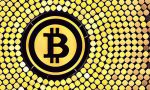Как установить кошелек и где купить Bitcoin