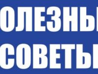 Стримеры казино — на свои крутить или нет. Идеалогия обмана