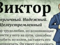 Переписка Витуса с Малиной. Логи скайпа
