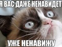 О комментариях на стримах казино