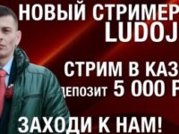 Судимость Лудожопа — дело 22-1800/201